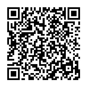 转而秦风也是冲着众人把刚才自己和李如燕的计划原原本本的复述了一遍二维码生成