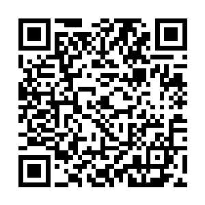 转身从会议桌上拿起一个猕猴桃就冲洪安宝扔过去了二维码生成