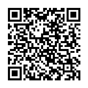 转身从唐伊诺手上接过了那张盖着学校公章的小纸条二维码生成