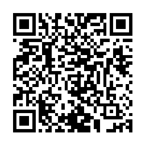 转身从茶几上拿起了一份他专门托人连夜弄出来的数据分析报告二维码生成