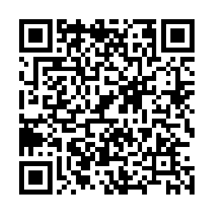 转身关门的瞬间听见宗宝满脸不乐意的跟着肖天小声的叨咕二维码生成