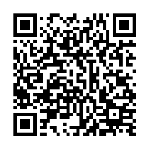 转身望去顿时见到此时夏家的几个人满脸怨恨的望着杨戬二维码生成