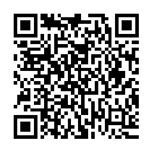 转过脸的瞬间还看见他们家的卧室门口趴着一只油亮亮的大耗子二维码生成