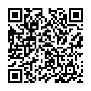 轮回殿殿主给自己的这块令牌是让自己去寻找鬼王那些属下的二维码生成