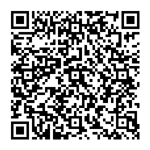 轰出的拳头变换 化作磨盘大小 携带强大的掌风 顷刻间将扩散到身体周边将环绕的雷电逼退二维码生成