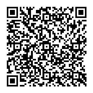 轰杀霸天虎这只至尊灵兽完全不是什么问题的……哪怕是霸天虎压榨了全部的生命潜力也没有任何用处的二维码生成