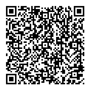 轰轰烈烈的跑回去捐上数十万上百万的图书或者干脆建一座图书馆让那些以前记不住你名字的老师看不起你的同学刮目相看二维码生成