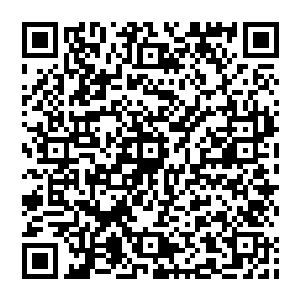 轰鸣之声响起 镇之意倾泻而下 大山投影再次出现 只不过这一次的大山沒了之前的灵动 相反有些飘渺二维码生成