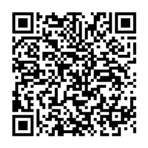 轻信了陆辰的鬼话妄想通过反咬一口商相公来讨得首辅万安的欢心二维码生成