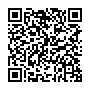轻柔但是淡淡冷凝的声让正门前那些年轻公子跟挪不动到了二维码生成