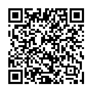 轻车简从的亲自去登门拜访了一下贝芙丽和菲奥娜的父母二维码生成