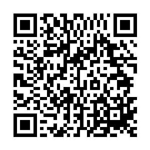 轻轻的摇动着……相比极真玄一那看起来凶恶无比的战前宣言二维码生成