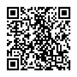 轻轻的用手摸了一下自己面前的一朵桃花和桃树的枝干……二维码生成