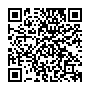 轻风剑淡淡的紫青剑气和杰德家族的那名长老的圣兵碰撞在一起二维码生成