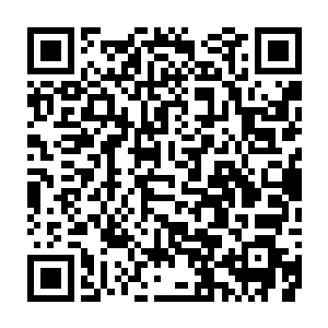 输家除了放个狠话也做不了别的什么……只能老老实实地收拾行李回去埋头苦练二维码生成