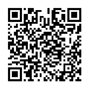 输赢生死也是你们两人的事情……但是如果王爷你多说什么二维码生成