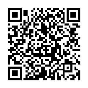 辟塔完全可以给每个批次的纳米机器人换上一套不同的口令吧二维码生成