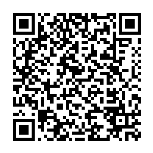 辣椒只想给所有读者一个轻松的没有任何攀比和心灵磕绊的阅读环境二维码生成