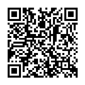 边上那几个经常一起在委托商店里混的哥们没一个敢上来帮他的二维码生成