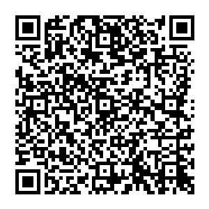 边学道一直要求他捆绑在外挂脚本里的导航网页2b被国内两个市场占有率前十的杀毒软件划定为二维码生成
