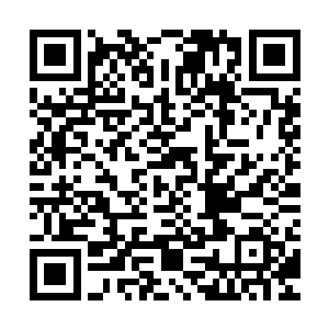 边学道自行车的租用价格比校外各种游乐园里的要便宜一倍还多二维码生成