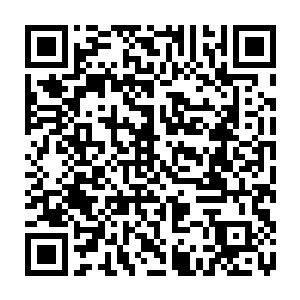 迅速在秦方的身体周围烧出了一片相对安全的区域了……只是离开了这一片区域二维码生成