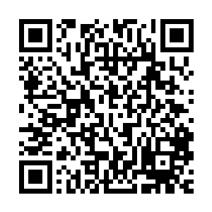 过了一会才看着还在认真的从袁仕平伤口里面扯着根须的长生道二维码生成