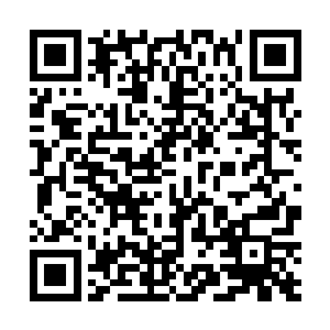过了一会没有离开的几名小护士很没有形象的一阵大笑二维码生成