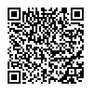 过去我们没有真正抽出主力来对付零号舰――那时没有可以留住它的办法二维码生成