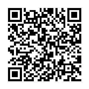 过去的蒲家已经基本由大海盗转为了官方认可的海商二维码生成