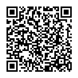 运了一些符灵草和一百万玉花石回红星客栈和福缘酒楼两个据点作为奖励留下二维码生成