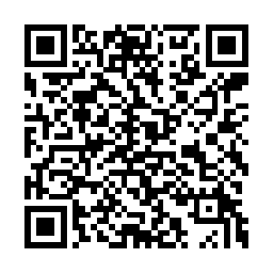 运用两件大罗级法器接引两个大世界的世界意志二维码生成