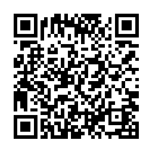 还不如待凌蘭强大到无法算计时再回联邦细算这笔账二维码生成