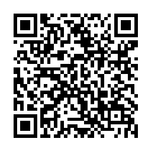 还不完全是因为受到全球全国经济形势不景气的影响二维码生成