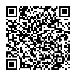还不就是想把你和我们的人支在前面当枪使_哼……你们一个个都得精点二维码生成