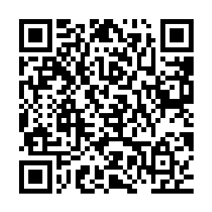 还不时翻阅了一下随身携带的一个文件夹看了看里面的表格数据二维码生成