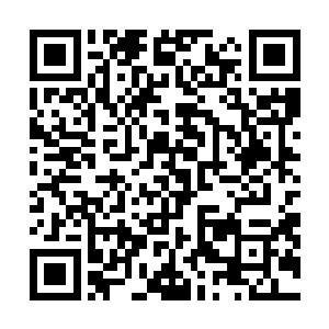 还不至于让大家认定他有什么问题――还不许人爆个种了二维码生成