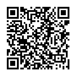 还不赶紧去把车上你们自己的新衣服行李包什么的拿上来二维码生成