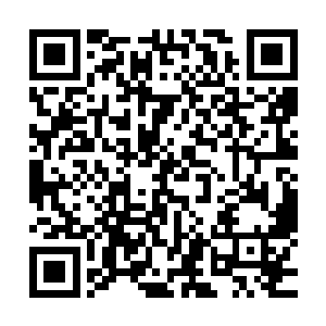 还专门针对这次的华夏和韩国传统医学比赛举办了新闻发布会二维码生成