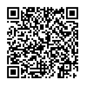 还从来没有受到过这样奇特的攻击--明明自己的外皮鳞片并没有破损二维码生成