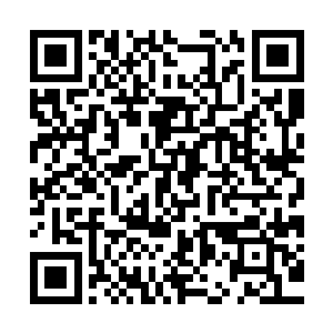 还凭借简单的几句话就在柳树江逐流的皮肤里面种植了一片荆棘二维码生成