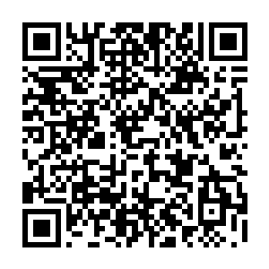 还剩两章 23点50分更 刚码了一章 结果文档沒响应 自动关了 心都碎了 二维码生成