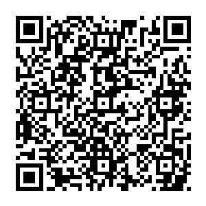 还包括昌南旅游发展股份有限公司投资建设的昌南旅游大厦和中昌公司的中昌大厦二维码生成