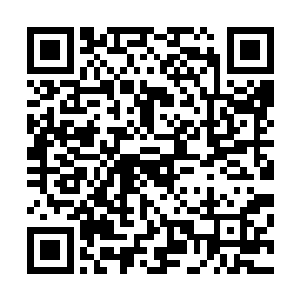 还取出了两根据说价值不菲的珍藏版雪茄请他一起过瘾……二维码生成