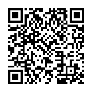 还可以参加在千帆星域举办的各种比赛和各大宗派的入门测试二维码生成