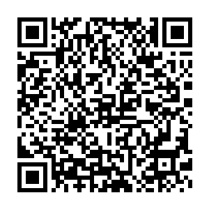 还可以白白赚上五千万的巨款……这绝对是一笔非常值得下注的买卖二维码生成
