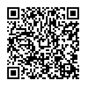 还向几个国家的体育代表团赠送了我们昌江南潭的绿色生态猕猴桃二维码生成