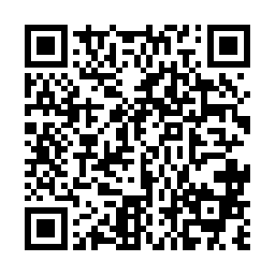 还因此让数学组的改卷老师们怀疑他是作弊获得的满分二维码生成