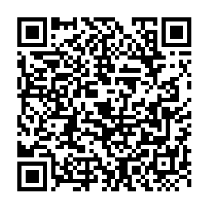 还在想是不是中间出了什么意外或者他们是真的没有足够的火焰力量了二维码生成