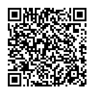 还带了一些对当下社会的小小批判――以司马朵朵目前不算多的创作经验二维码生成